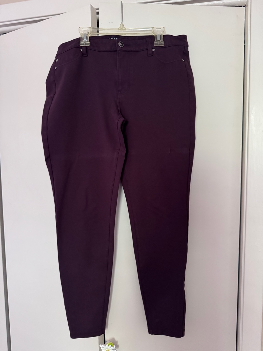 Liverpool Women's Deep Plum Stretch Jeggings